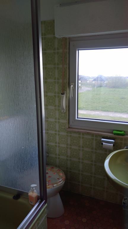 フリードリッヒシュコオク Haus Spitzenblickヴィラ エクステリア 写真
